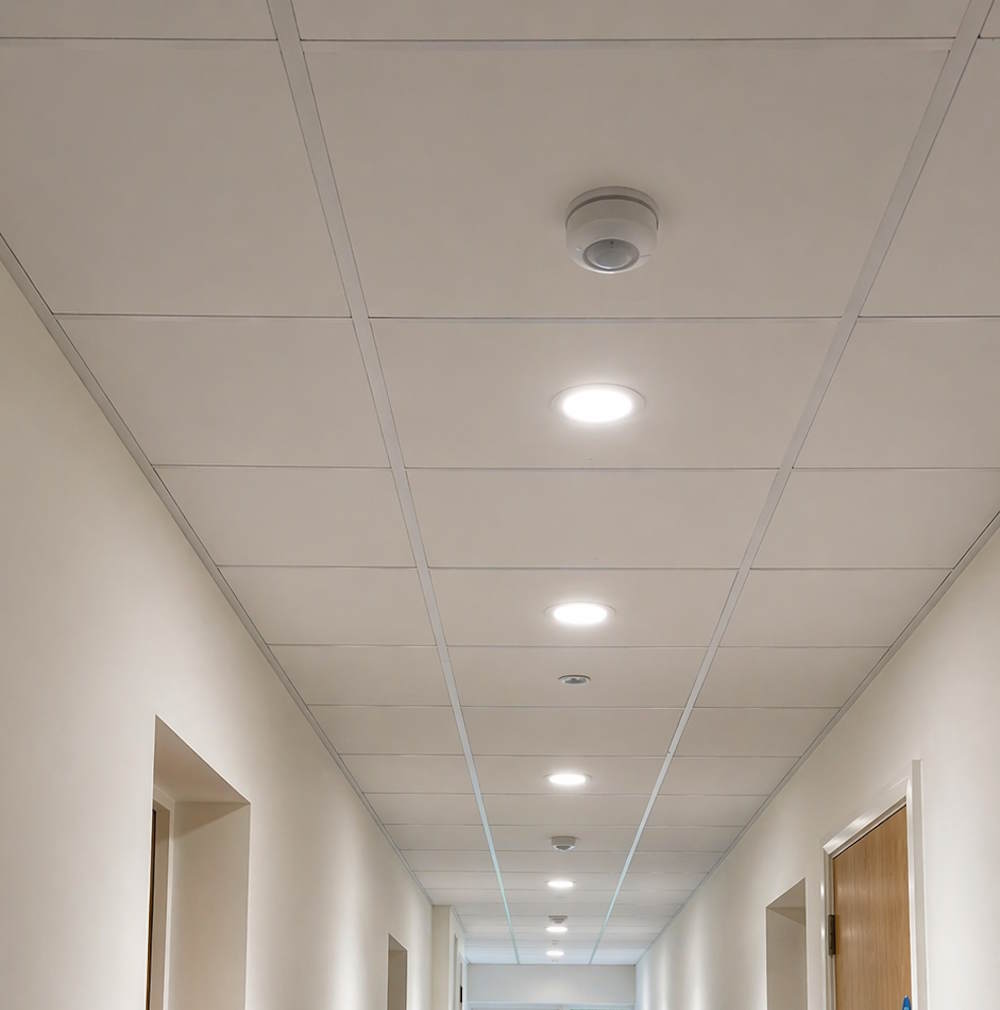 Grid Ceilings